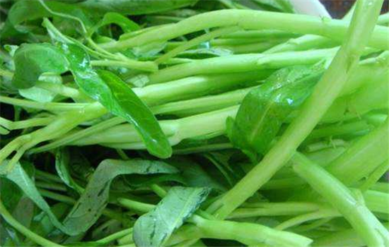 苹果绿 食材大全 营养价值需要准备适量空心菜,一些 腐乳,少许 鸡精