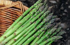 【宝宝食用芦笋的注