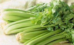 【孕妇能吃芹菜吗】