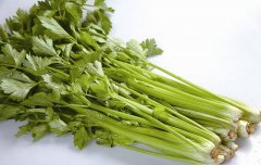 【孕妇可以吃芹菜吗