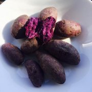【紫薯不能和哪些食