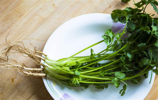 香菜根煮水能减肥吗 香菜根煮水可以以每天喝吗