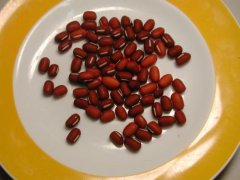 【吃红豆会上火吗】