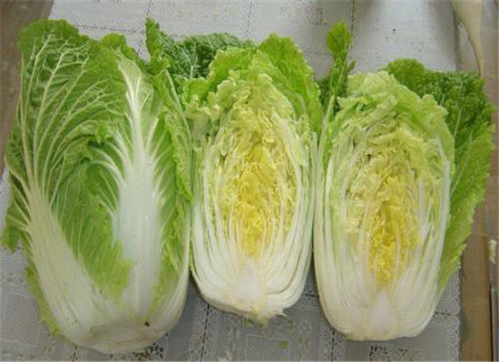 孕妇可以吃大白菜吗 需要注意什么
