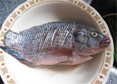 【孕妇适合吃哪些鱼
