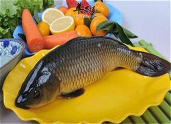 孕妈妈吃鱼对胎儿好 降低早产率促进大脑发育