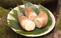 【月经期间的饮食注