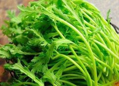 【茼蒿的搭配禁忌】