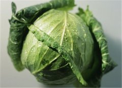 【包菜怎么保存】_可
