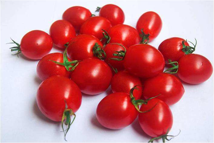 小番茄的品种及营养成分介绍