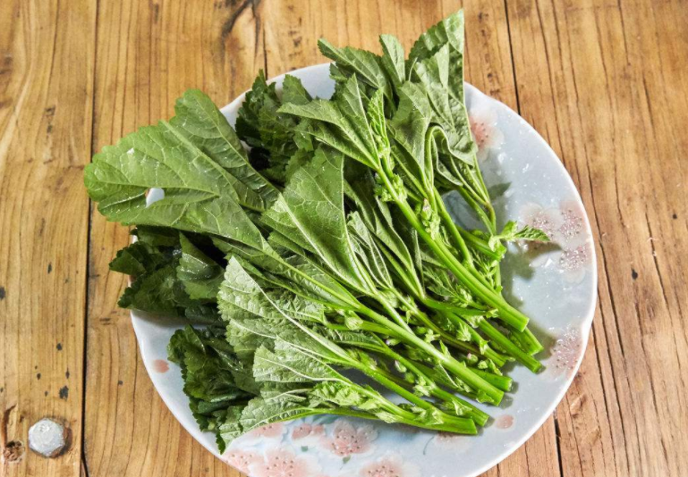 冬寒菜的家常做法