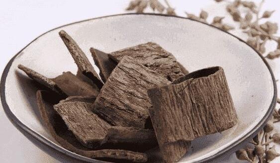 杜仲旳功效与作用