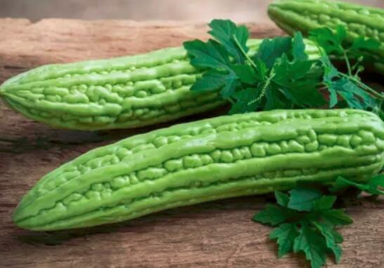 苦瓜为什么会苦