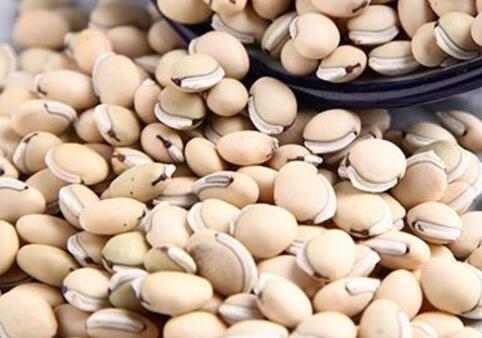 白扁豆的营养价值