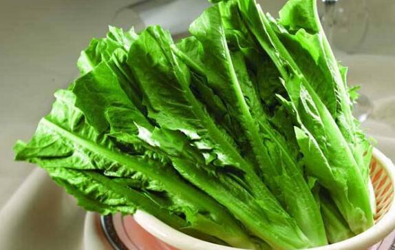 苹果绿 食材大全 营养价值油麦菜是日常生活里面比较常见的一种蔬菜