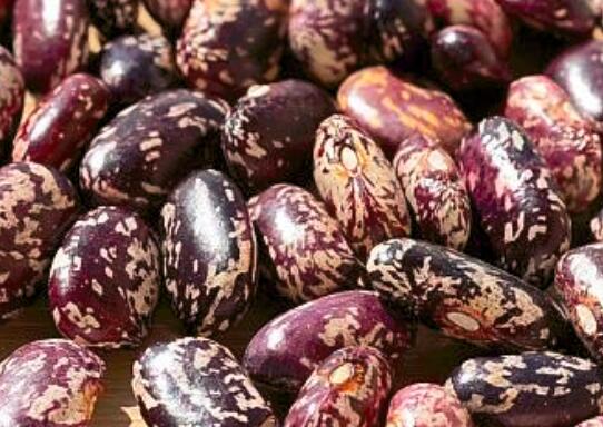 花豆的营养价值 花豆是什么 花豆和芸豆的区别 不能和什么一起吃 食用禁忌 苹果绿