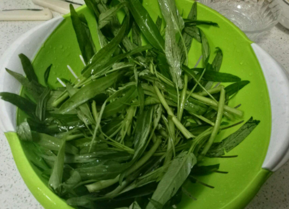 竹叶菜是什么