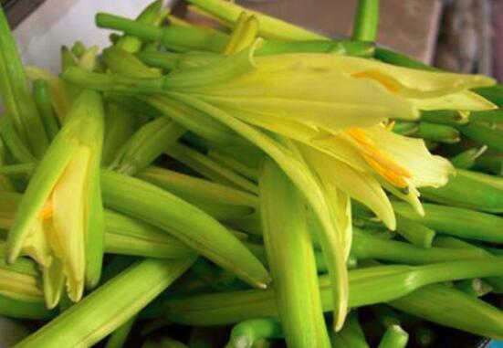 黄花菜的功效与作用 黄花菜不能和什么一起吃 黄花菜怎么吃 宜忌人群 苹果绿