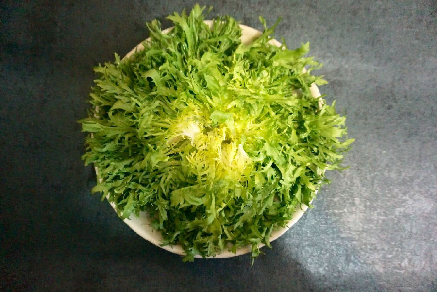 苦苣根哪里有卖