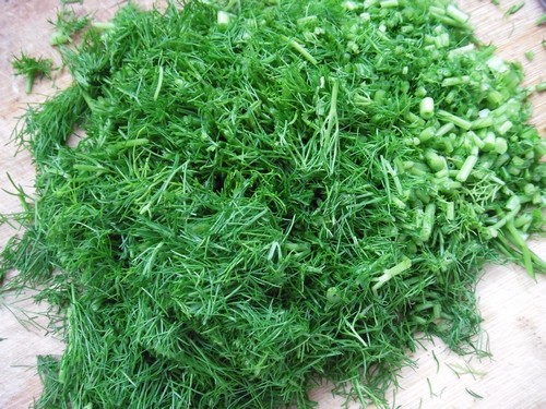 茴香苗怎么吃
