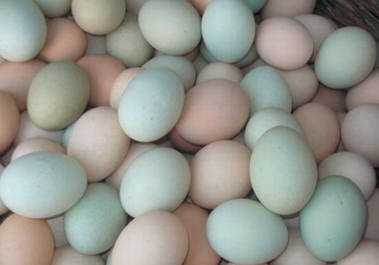 乌鸡蛋的营养价值