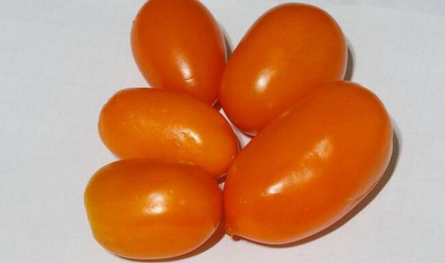 奶柿子的营养价值