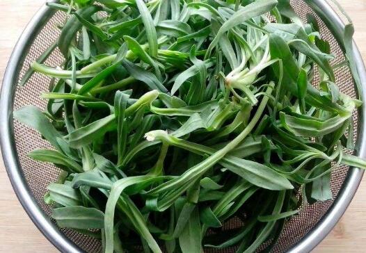 面条菜的功效与作用