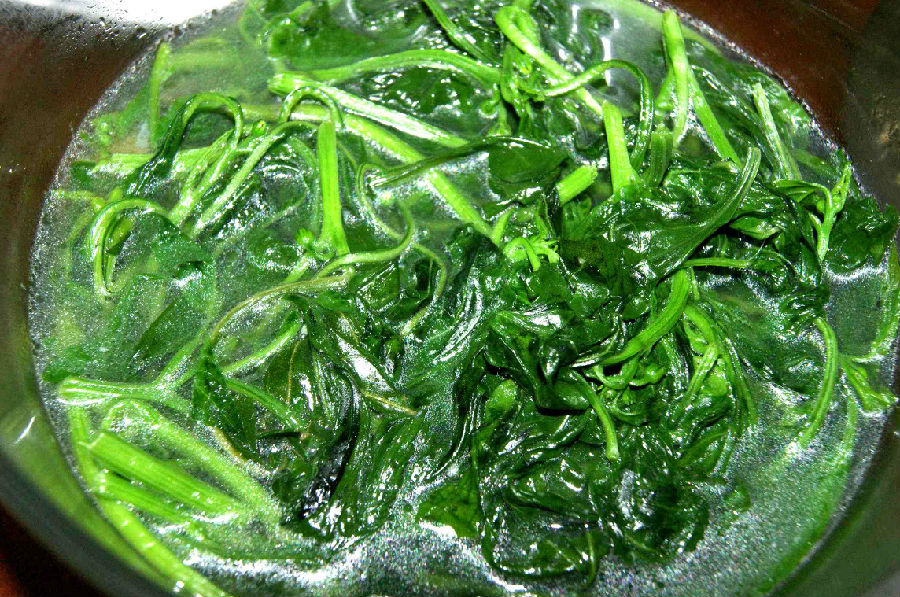 辣椒叶可以吃吗