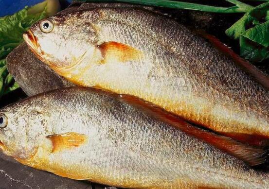 黄鱼怎么做好吃