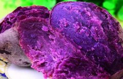 紫薯怎么保存_紫薯可以放进冰箱吗