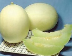 香瓜瓤籽可以吃吗