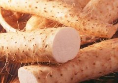 山药能和豆腐一起吃吗