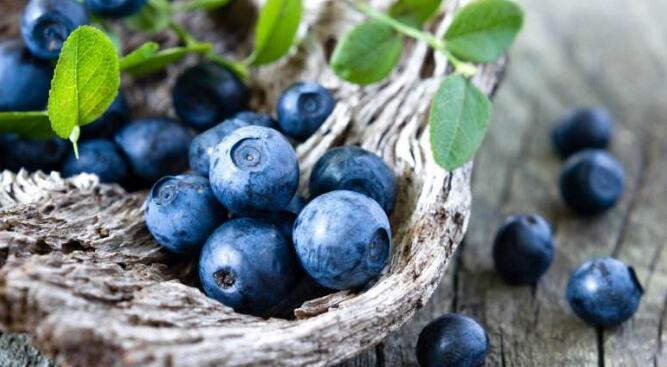 吃蓝莓能减肥吗