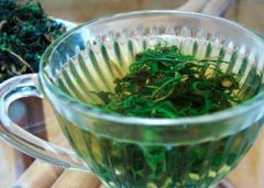 苦菜茶能和绿茶一起喝吗
