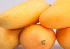 吃芒果能减肥吗_怎么吃芒果减肥