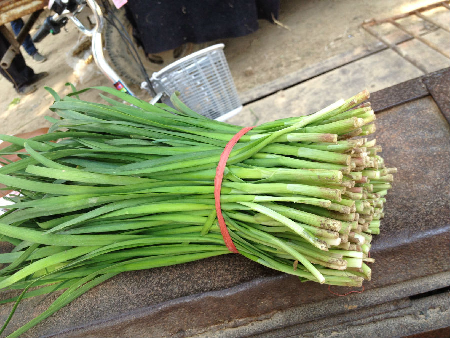 韭菜是荤菜还是素菜