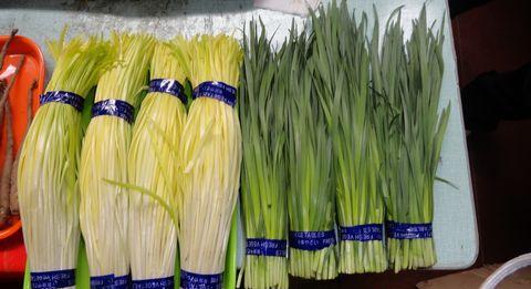 韭菜和韭黄的区别