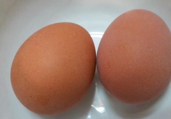 增肌吃鸡蛋还是蛋白粉