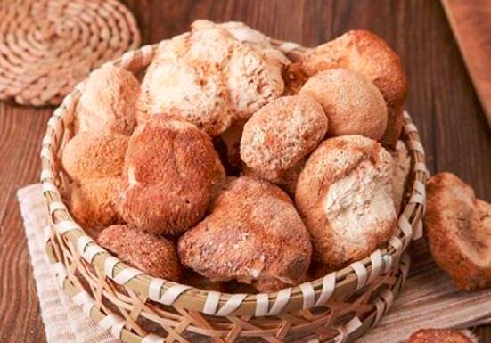 养胃的药有哪些