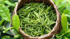 绿茶有哪些品种_绿茶的喝法