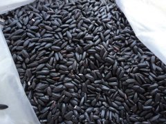 吃黑米能減肥嗎