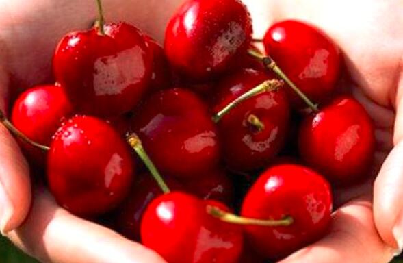 糖尿病人可以吃樱桃吗