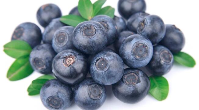 蓝莓是什么