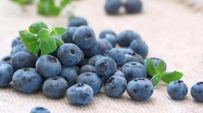 吃蓝莓的注意事项