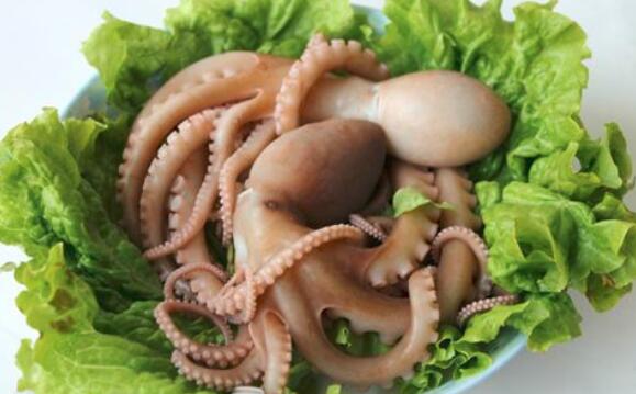 章鱼不能和什么一起吃