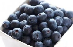 藍莓怎么吃有營養_藍莓的功效與作用