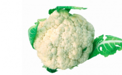 吃花菜会胀气吗
