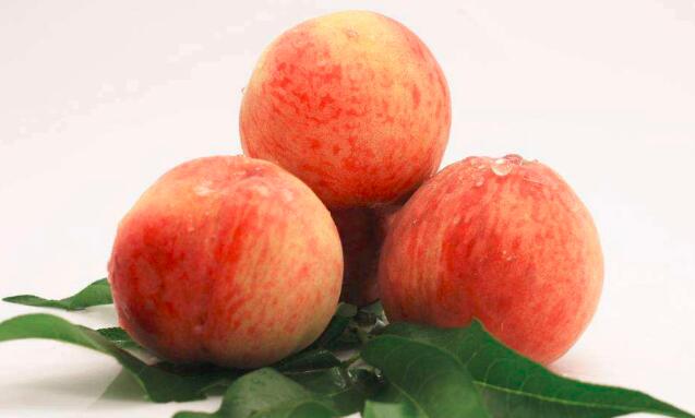 吃水蜜桃可以減肥嗎