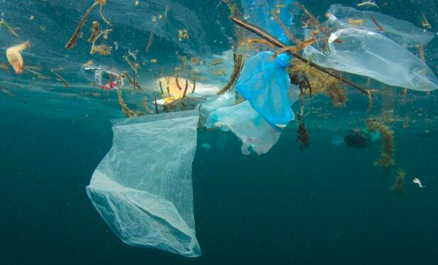 塑料袋属于什么垃圾