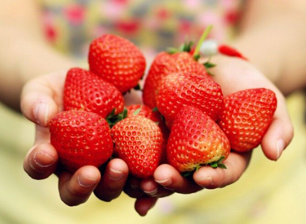 草莓有农药味怎么去掉